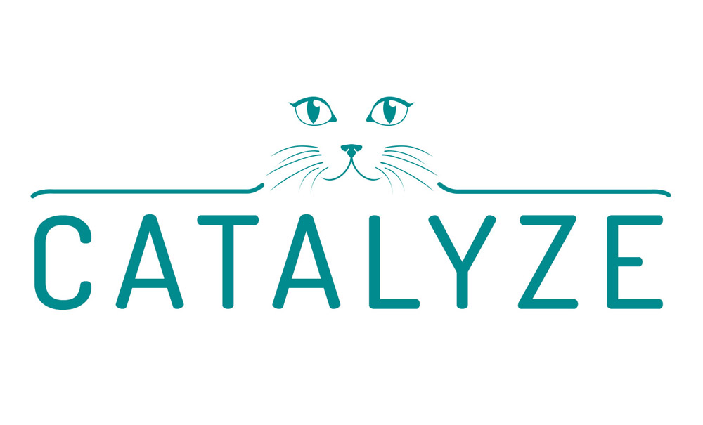 Logo ontwerp Catalyze, Amsterdam