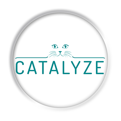 Logo Catalyze, Amsterdam