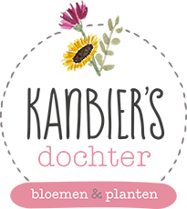 logo Kanbiers Dochter | Multimediafabriek